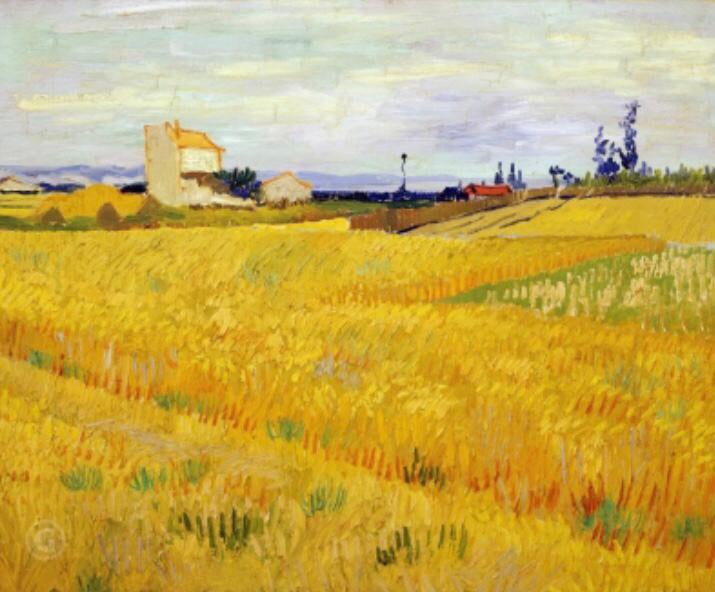 Пшеничное поле со снопами. Винсент Ван Гог. 1888 г.